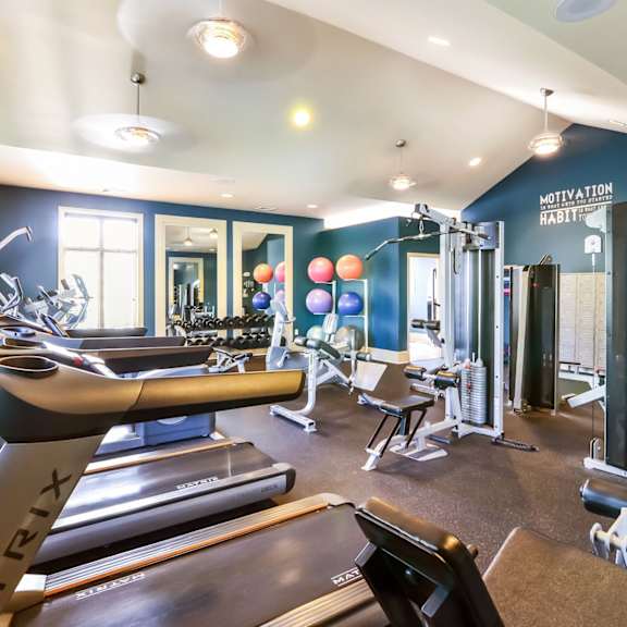 A gym with a treadmill, weights, and exercise equipment.