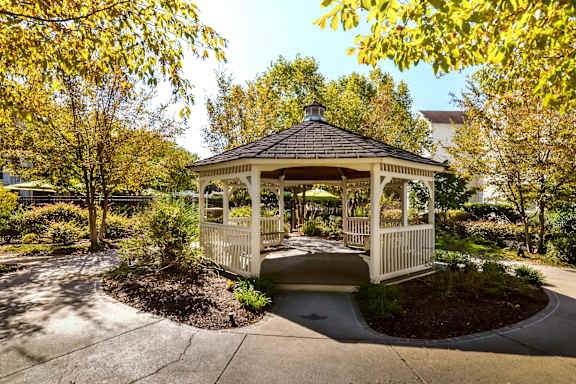 A gazebo is surrounded by trees with yellow leaves.