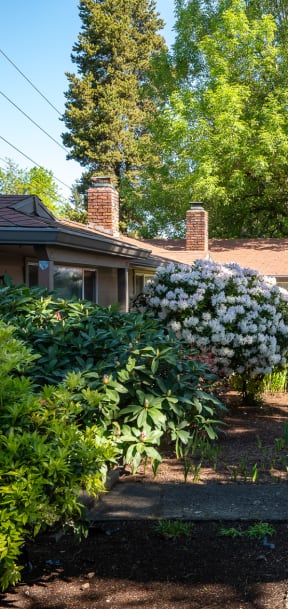 the front yard of a house with a sidewalk and potted plants
