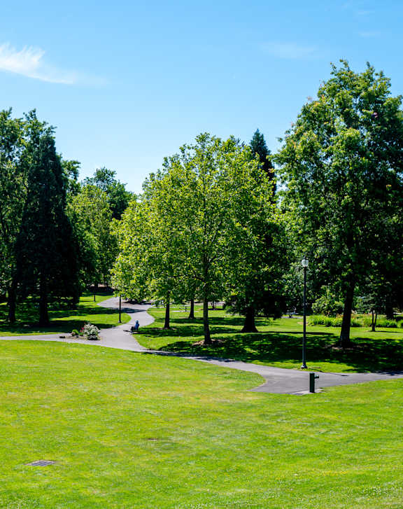 A park with a green lawn and trees.