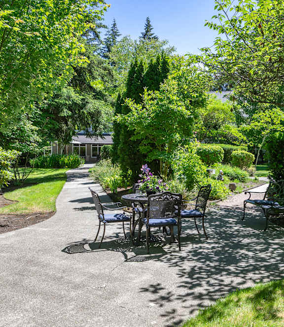 A garden with a table and chairs.