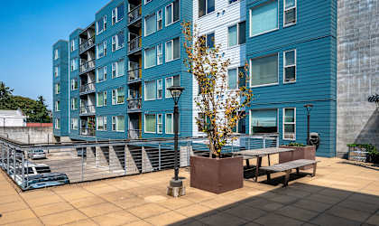 an outdoor patio with benches and a tree in front of a blue building