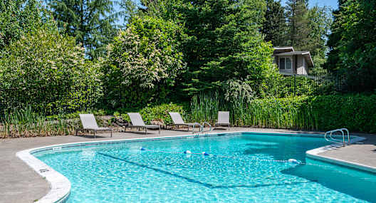 A swimming pool surrounded by trees and chairs.