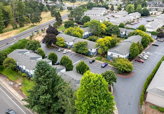 A parking lot with cars and trees in the foreground.