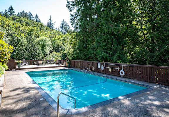 a swimming pool with trees in the background