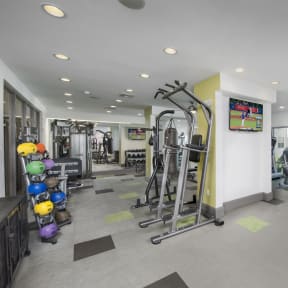 a gym of Lumi Hyde Park in Tampa, FL