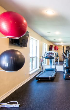 a home gym with treadmills and elliptical machines