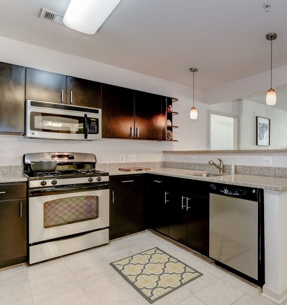 Stainless Steel Appliances And Custom Cabinetry at Garfield Park, Virginia