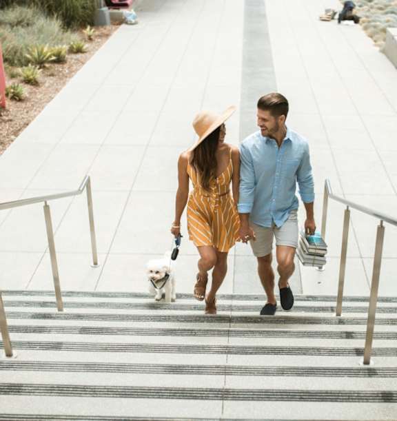 A man and a woman walking a dog down a staircase.