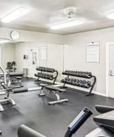 24-Hour Fitness Center at Hunters Chase Apartments in Austin, Texas, TX