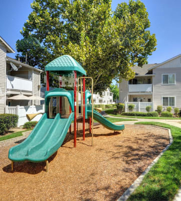 Outdoor Playground