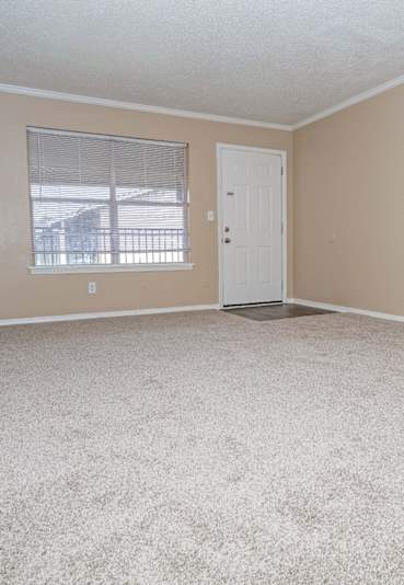 A room with a carpeted floor and a window with blinds.