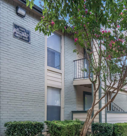 The Pavilion Apts Arlington Tx