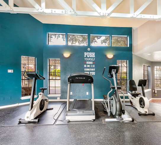 A gym with a row of exercise bikes and a treadmill.
