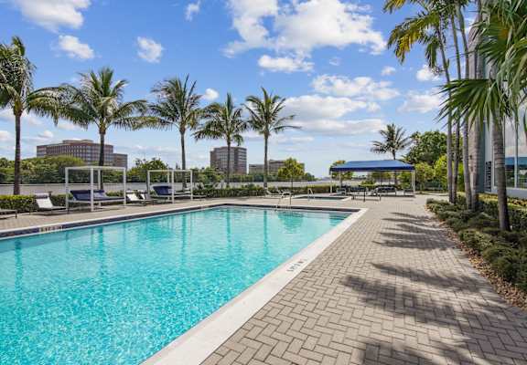 A swimming pool surrounded by palm trees and a brick walkway.