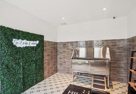 A pet spa with a pet bathing tub and other pet grooming equipment at Hillside on Parmer Lane Apartments in Austin, TX