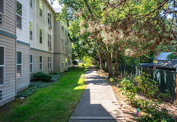 A tree-lined walkway between two buildings.