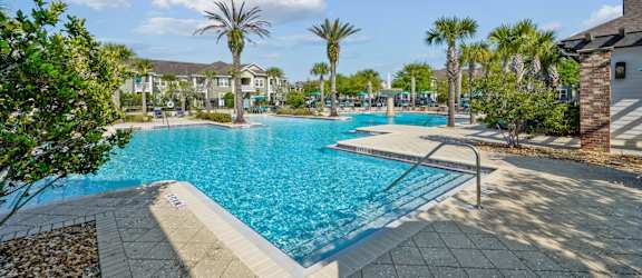 A large swimming pool surrounded by palm trees and a stone border.