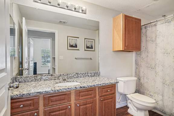 a bathroom with wooden cabinets and a toilet and a sink