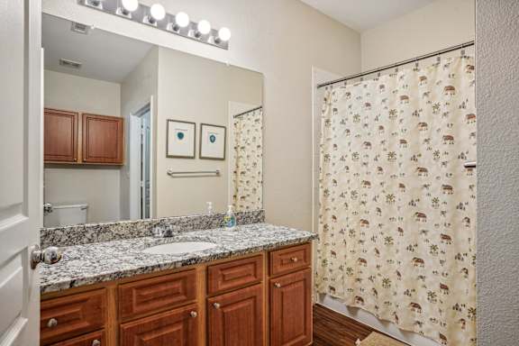 a bathroom with a sink and a mirror and a shower