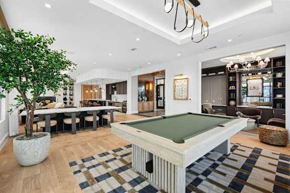 A pool table is in the middle of a room with a tree in a pot.