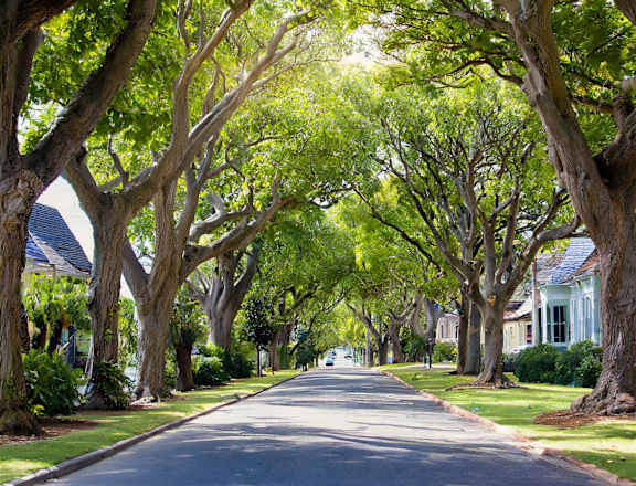 a tree lined street with houses on either side of it