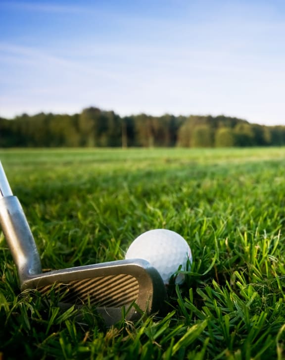 a golf club and ball in the grass