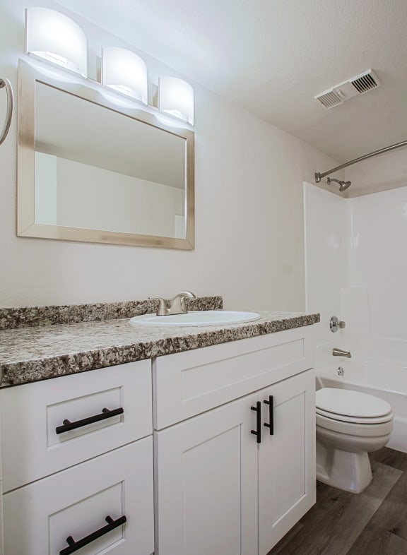 a bathroom with a sink and a toilet