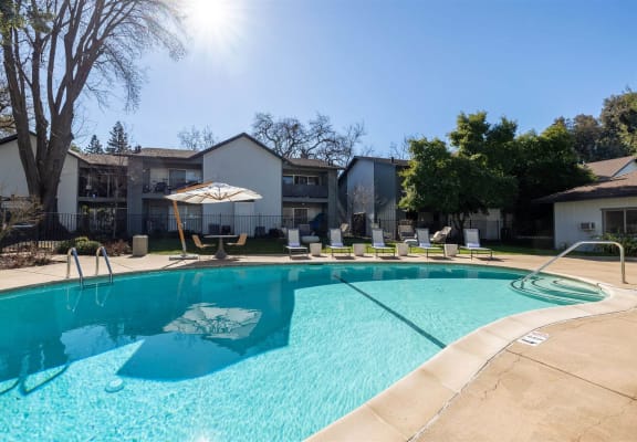 our apartments have a large pool with chairs and umbrellas at Danville Park, California