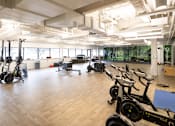 Thumbnail 8 of 21 - A gym with a row of stationary bikes and a row of treadmills.