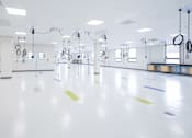 Thumbnail 9 of 21 - A gym with a white floor and blue and yellow mats.