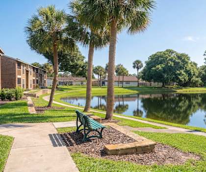 A park with a bench and a pond.