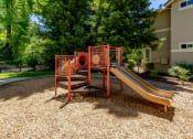 Thumbnail 10 of 18 - Preserve at Blue Ravine - Playground