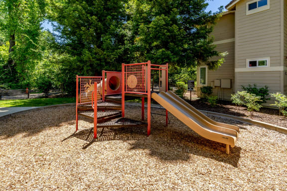 Preserve at Blue Ravine - Playground