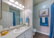 Thumbnail 18 of 22 - Evergreen Lenox Park Apartments bathroom