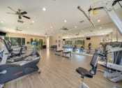 Thumbnail 4 of 18 - Preserve at Blue Ravine - Fitness center