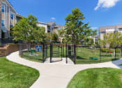 Thumbnail 10 of 18 - Glenbrook Apartments bark park