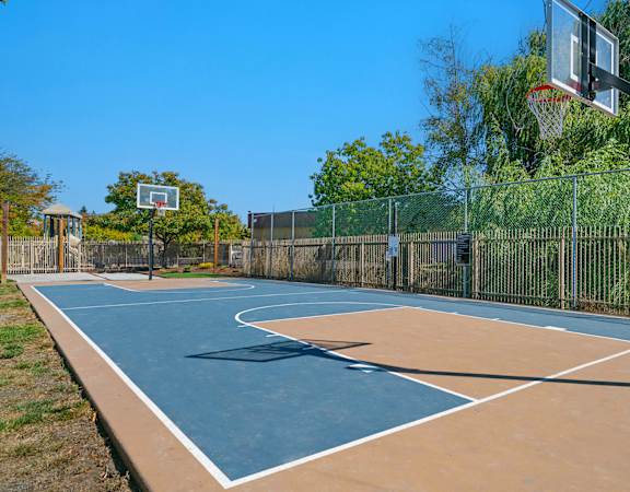 Outdoor basketball court - Mountain Shadows Apartments