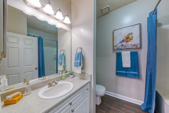 Evergreen Lenox Park Apartments bathroom