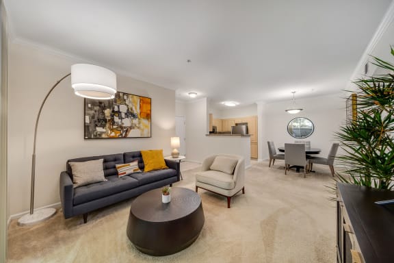 Preserve at Blue Ravine - Nine-foot ceilings with crown molding