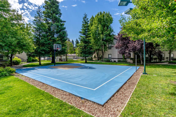 The Commons apartments basketball court
