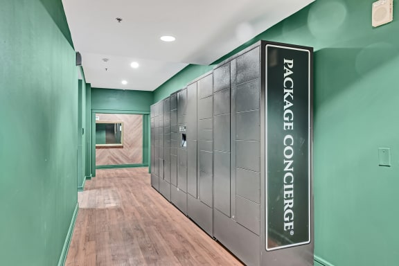 Electronic Parcel Locker System