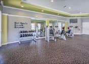 Thumbnail 8 of 19 - Asprey fitness center - strength training