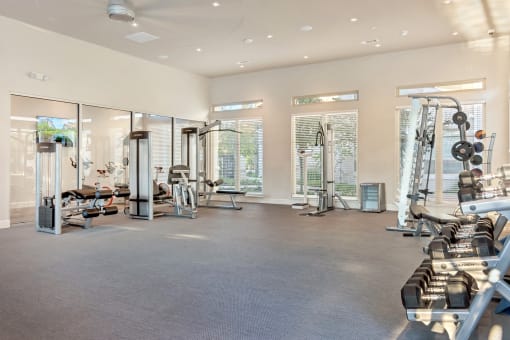 Everlee - Fitness center including cardio and weight training equipmetn