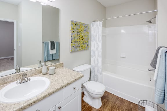 Cheswyck at Ballantyne bathroom