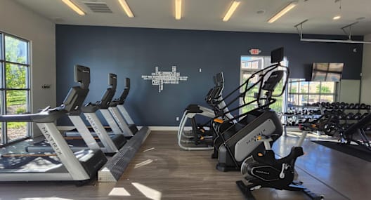 A gym with treadmills, elliptical machines and other cardio equipment.