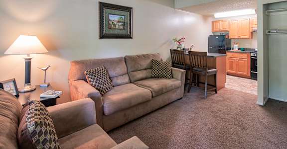 Living Room at Saddlewood Apartments