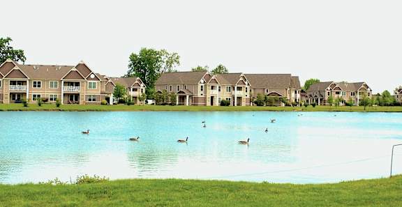 A lake with ducks swimming in front of a row of houses.