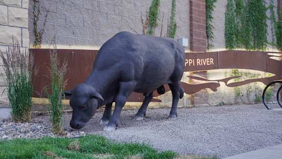 A bull is walking in front of a sign that says "ippi river".
