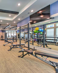 our state of the art gym is fully equipped with free weights and other exercise equipment